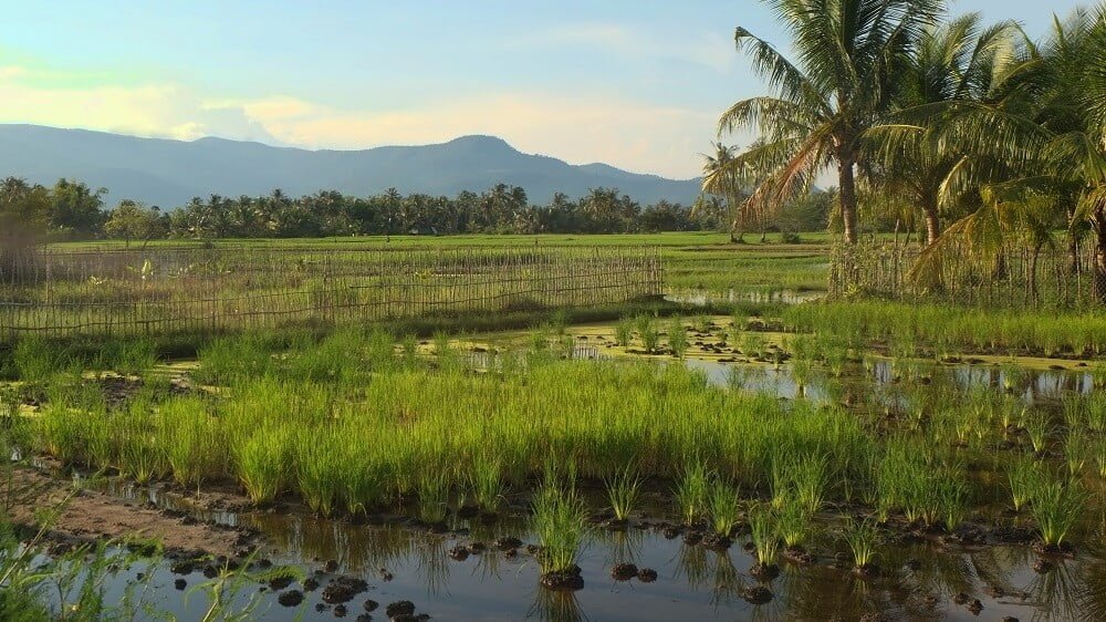 Kampot