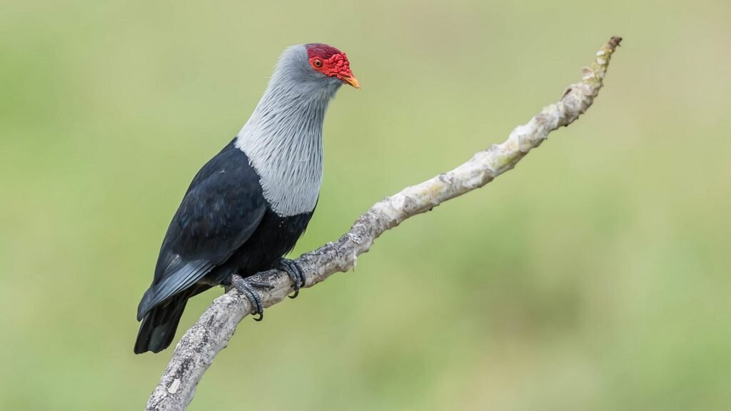 vacationing in seychelles (2)